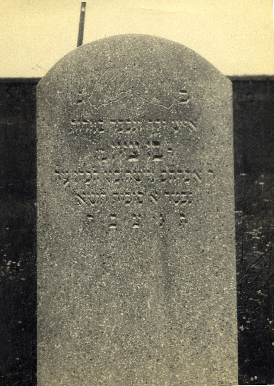  Grandfather Ben Zion's grave 